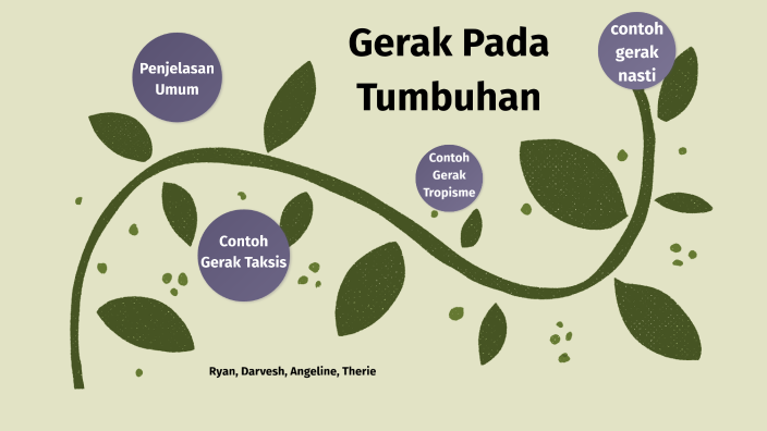 Detail Contoh Gerak Taksis Pada Tumbuhan Nomer 55