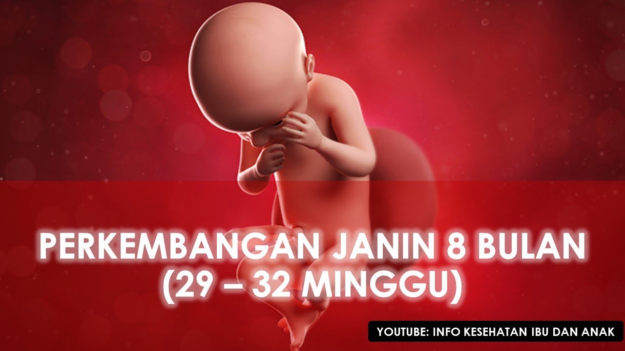 Detail Contoh Gerakan Janin 8 Bulan Nomer 18