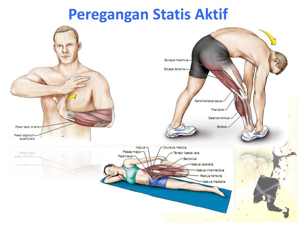 Detail Contoh Gerakan Peregangan Statis Nomer 41