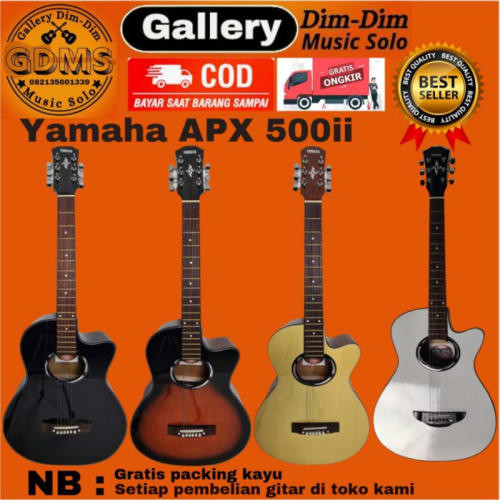 Detail Contoh Gitar Tanam Besi Nomer 46