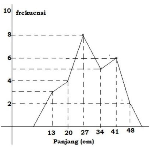 Detail Contoh Grafik Poligon Nomer 38