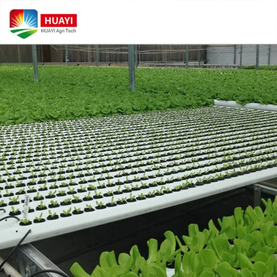 Detail Contoh Green House Nomer 23