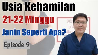 Detail Contoh Hamil 23 Minggu Nomer 22