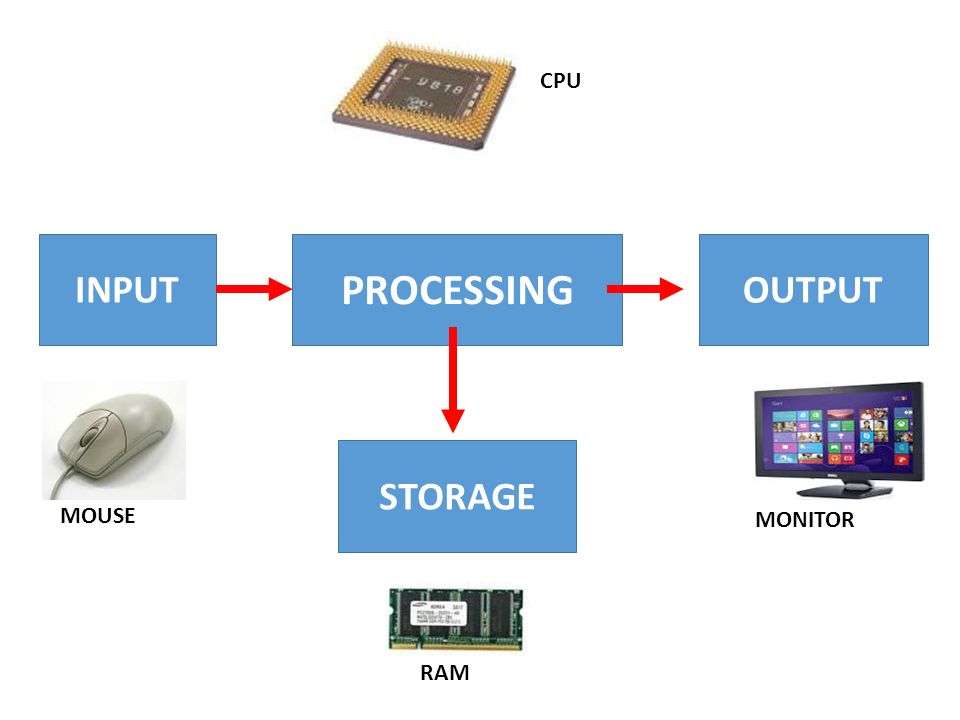 Detail Contoh Hardware Input Nomer 41