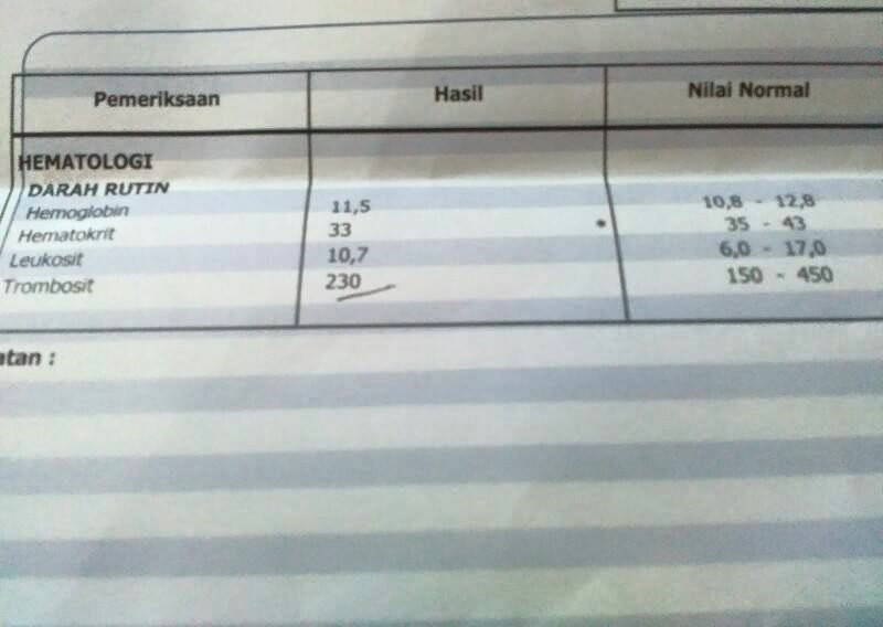 Detail Contoh Hasil Cek Darah Positif Dbd Nomer 13