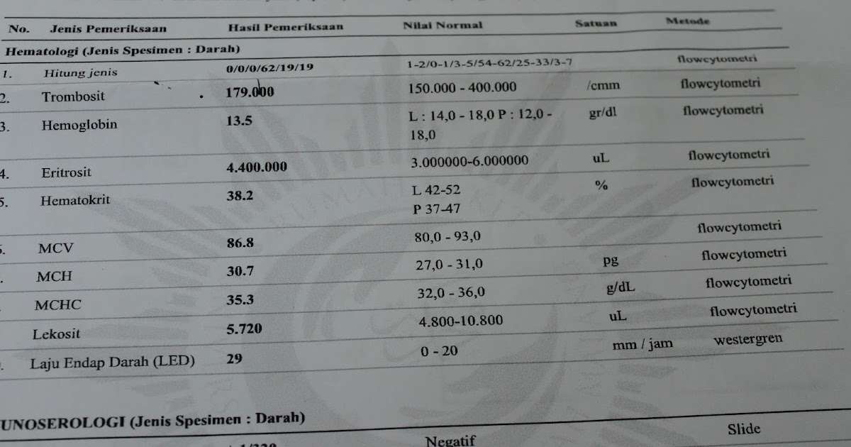 Detail Contoh Hasil Cek Darah Positif Dbd Nomer 26