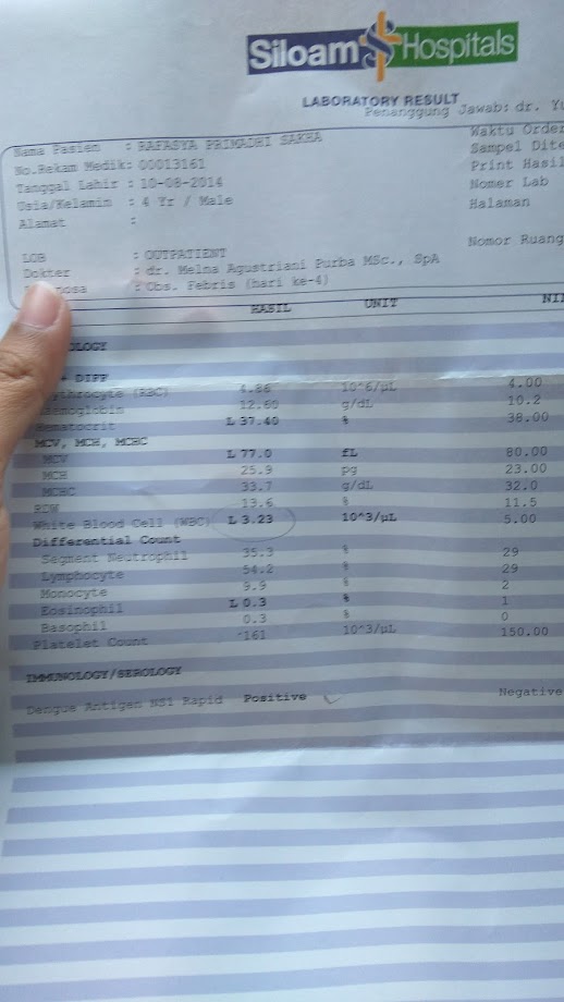 Detail Contoh Hasil Cek Darah Positif Dbd Nomer 6