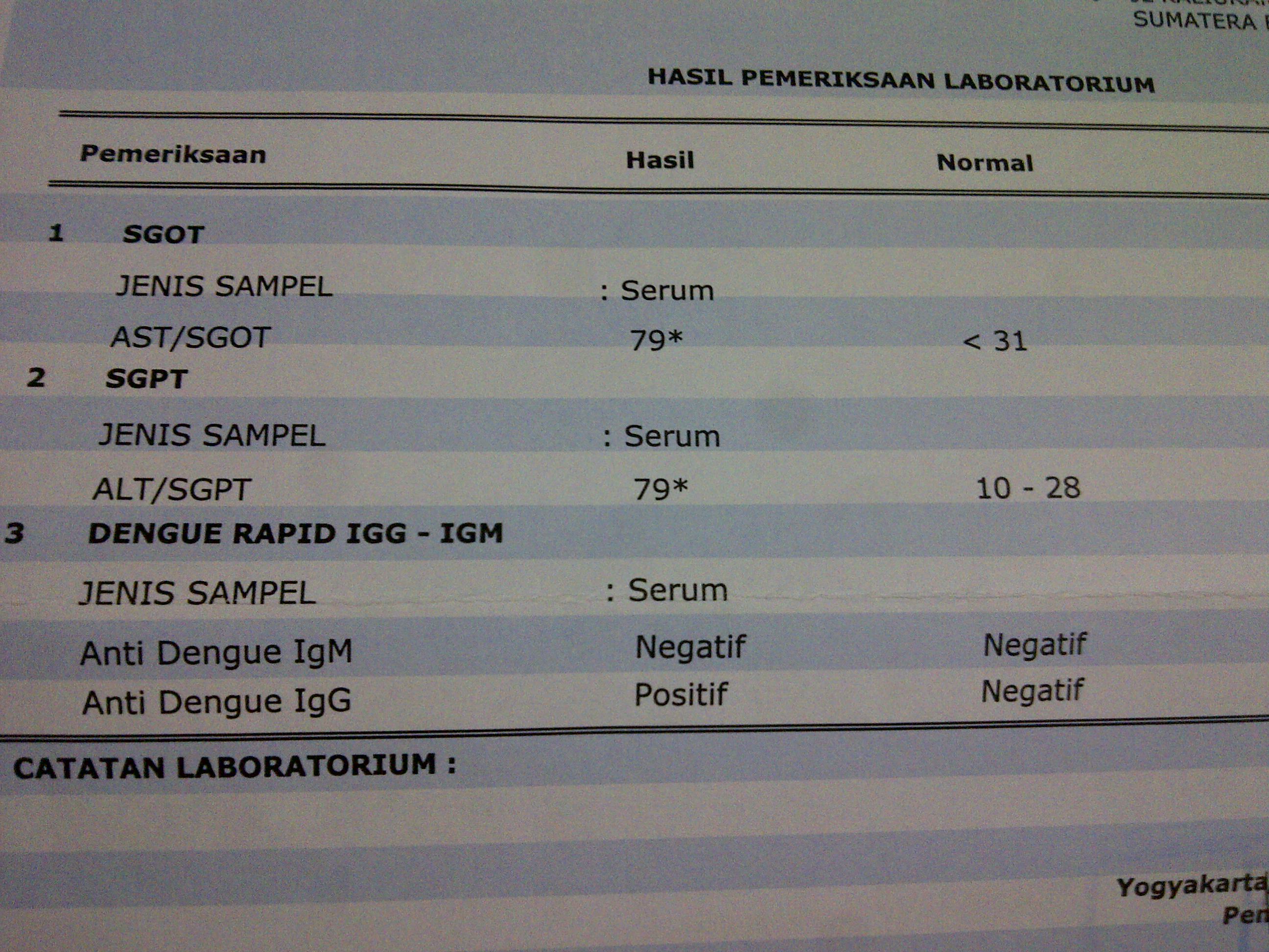 Detail Contoh Hasil Cek Darah Positif Dbd Nomer 8