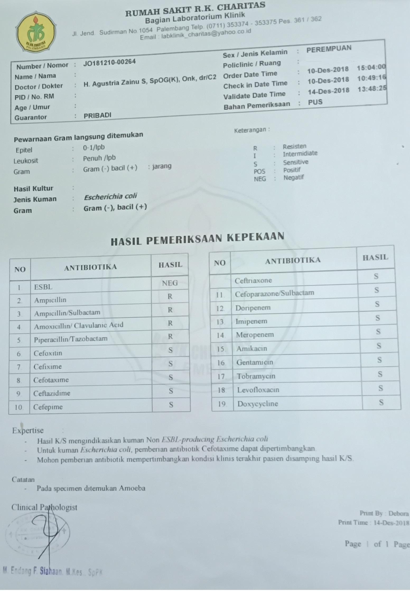 Detail Contoh Hasil Cek Darah Positif Dbd Nomer 9