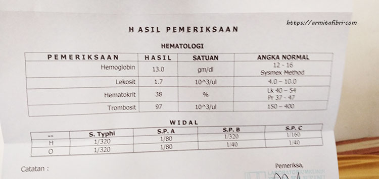 Detail Contoh Hasil Cek Darah Positif Dbd Nomer 10