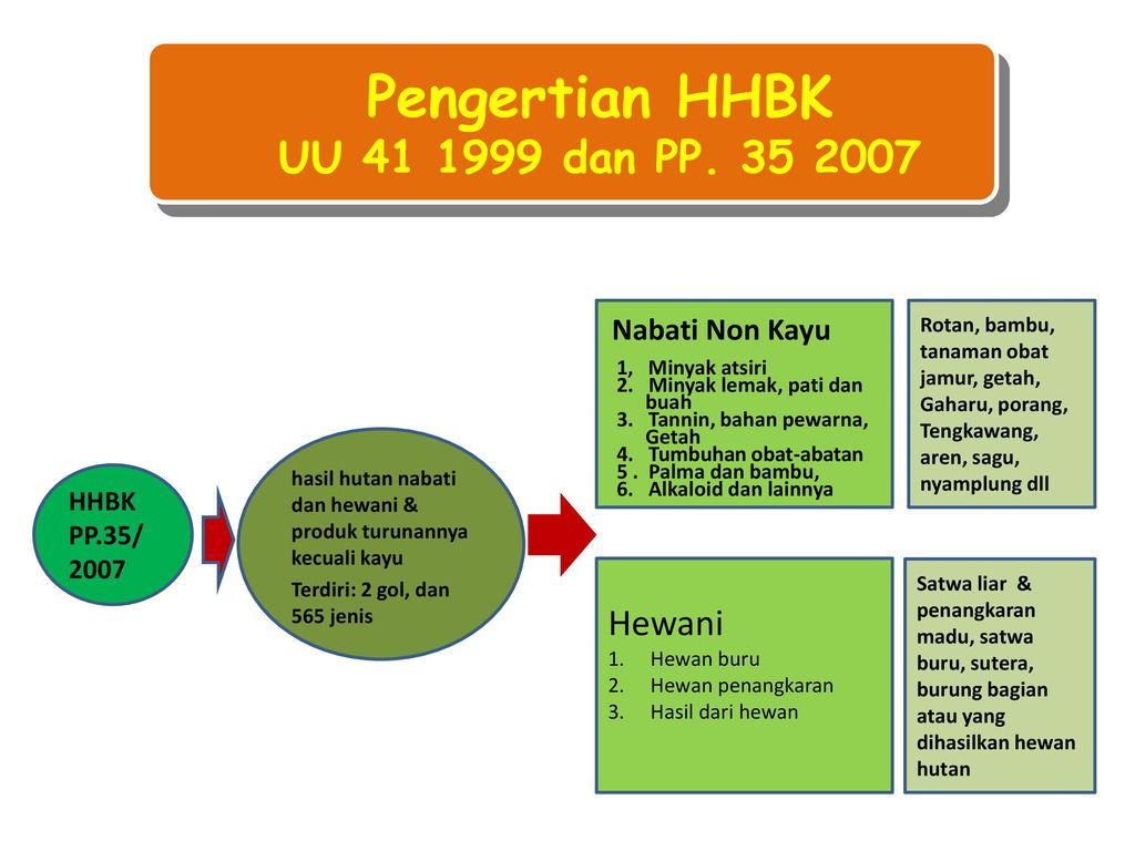 Detail Contoh Hasil Hutan Non Kayu Nomer 38