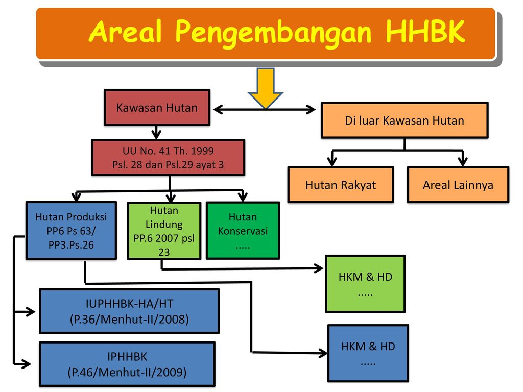 Detail Contoh Hasil Hutan Non Kayu Nomer 43