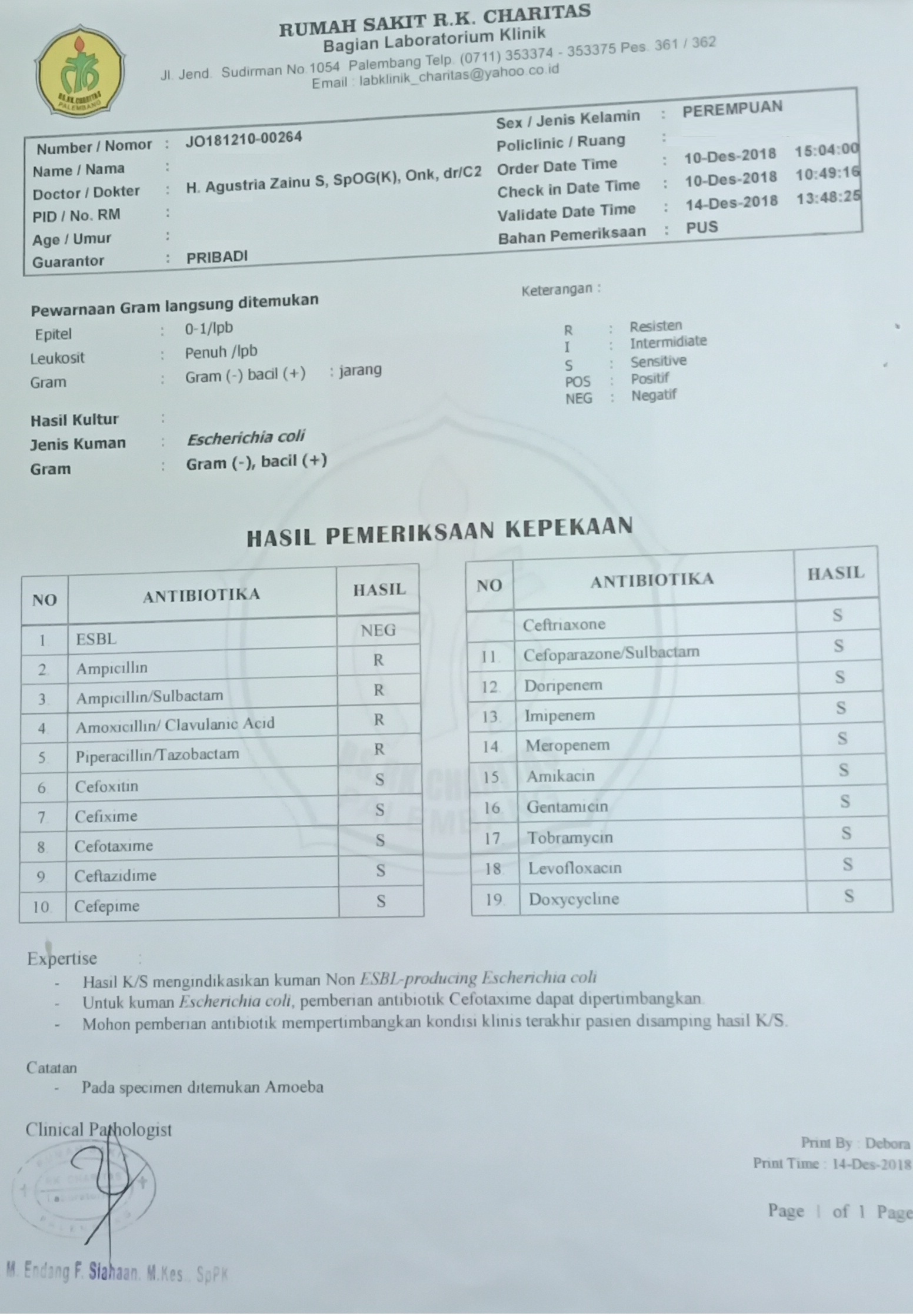 Detail Contoh Hasil Lab Prodia Nomer 8