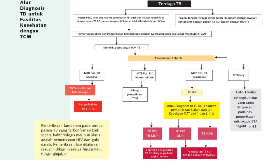 Detail Contoh Hasil Lab Tb Paru Nomer 23