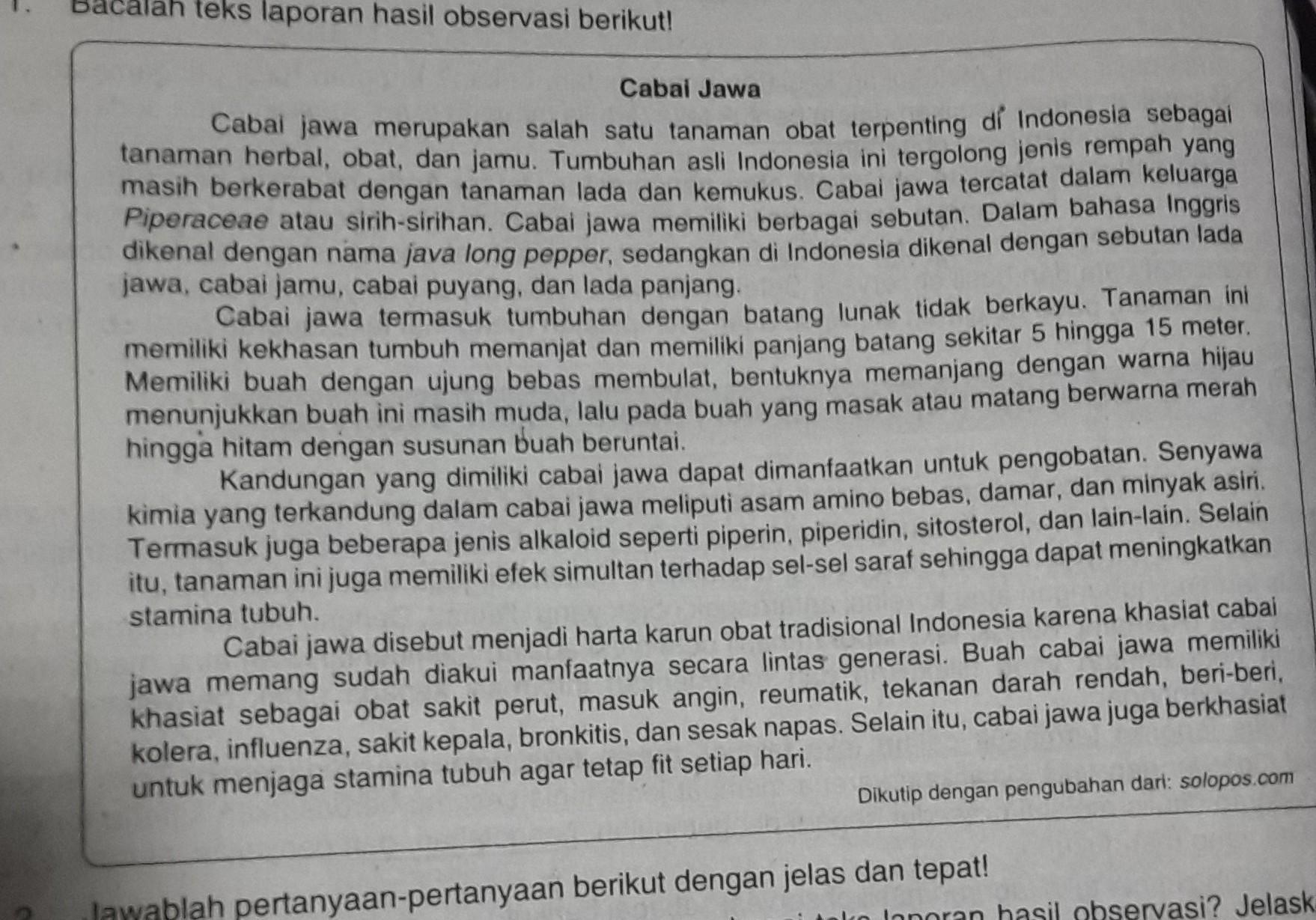 Detail Contoh Hasil Observasi Nomer 18