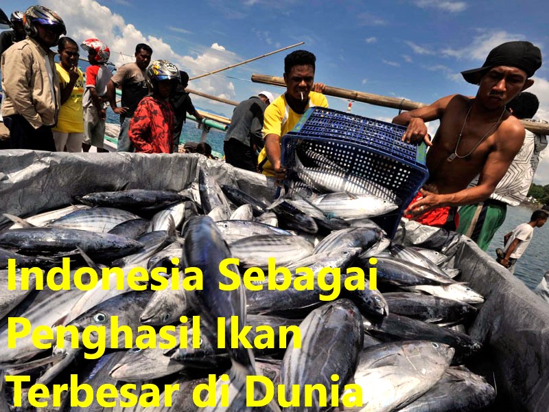 Detail Contoh Hasil Perikanan Laut Nomer 26