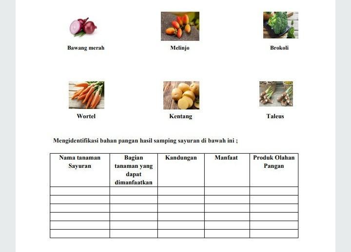 Contoh Hasil Samping Sayuran 58 Koleksi Gambar