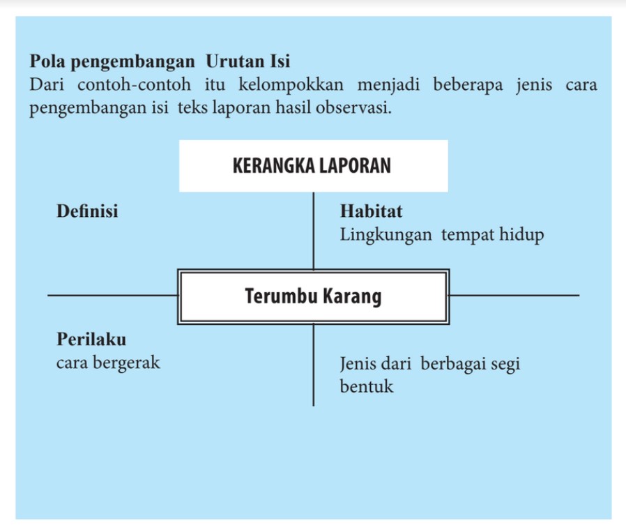 Detail Contoh Hasil Teks Observasi Nomer 51