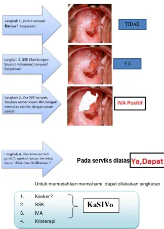 Detail Contoh Hasil Tes Iva Nomer 7