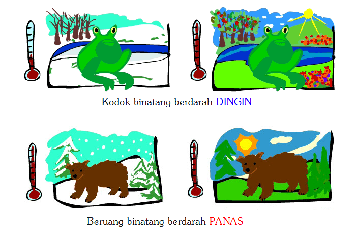 Detail Contoh Hewan Berdarah Dingin Nomer 19