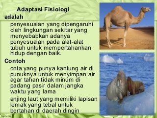 Detail Contoh Hewan Fisiologi Nomer 41