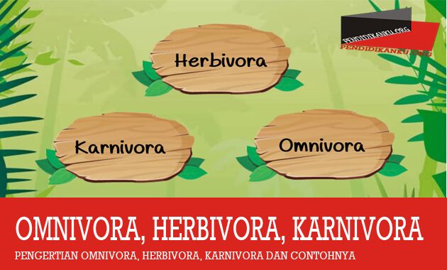 Detail Contoh Hewan Herbivora Karnivora Omnivora Nomer 50