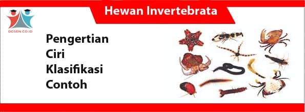 Detail Contoh Hewan Invertebrata Nomer 32