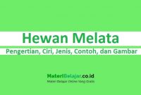 Detail Contoh Hewan Merayap Nomer 37