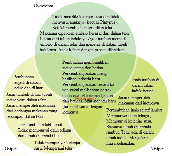 Detail Contoh Hewan Ovipar Vivipar Dan Ovovivipar Nomer 19