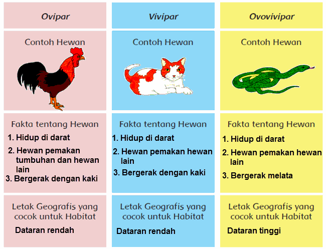Detail Contoh Hewan Ovipar Vivipar Dan Ovovivipar Nomer 36