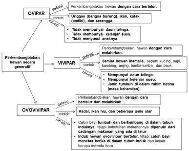 Detail Contoh Hewan Ovipar Vivipar Dan Ovovivipar Nomer 40