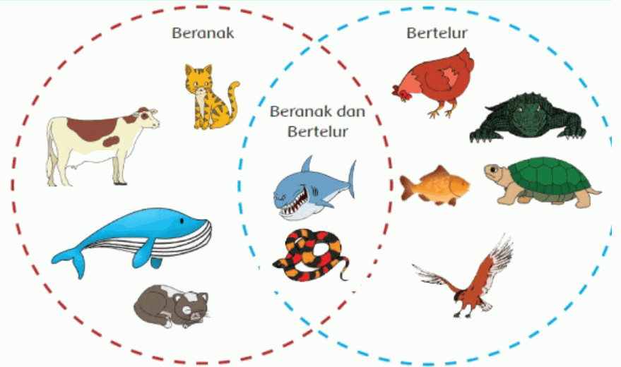 Detail Contoh Hewan Ovipar Vivipar Dan Ovovivipar Nomer 57