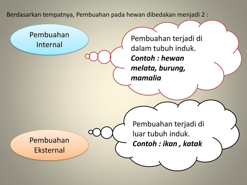 Detail Contoh Hewan Pembuahan Eksternal Nomer 28