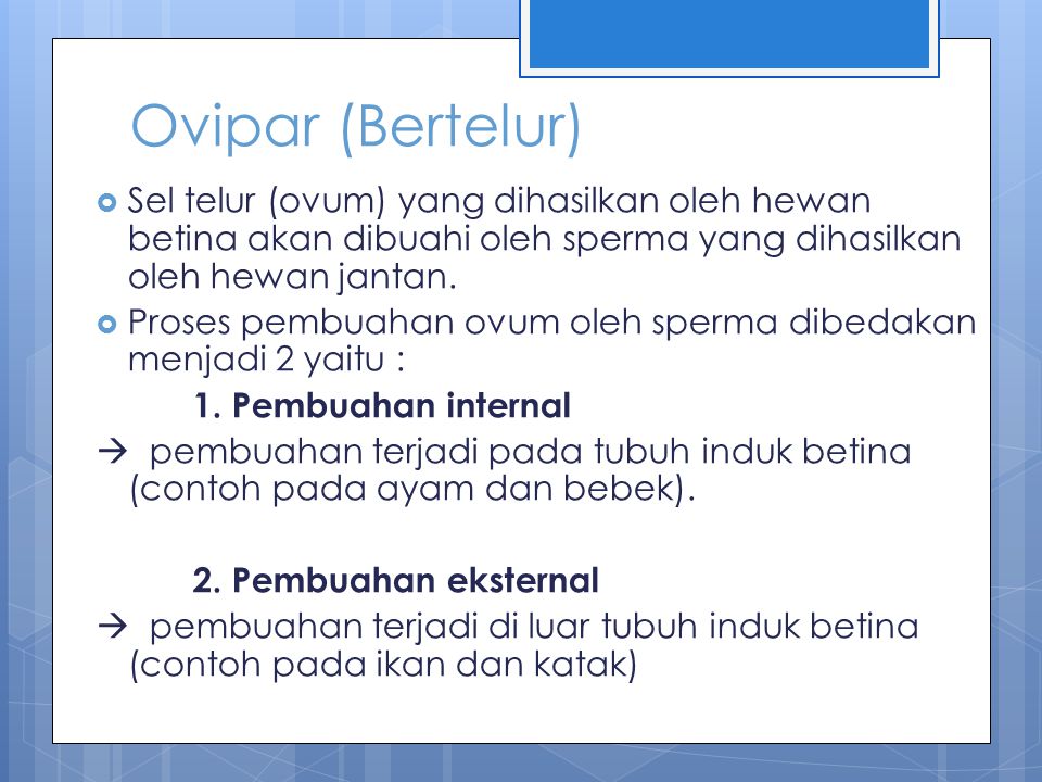 Detail Contoh Hewan Pembuahan Eksternal Nomer 57