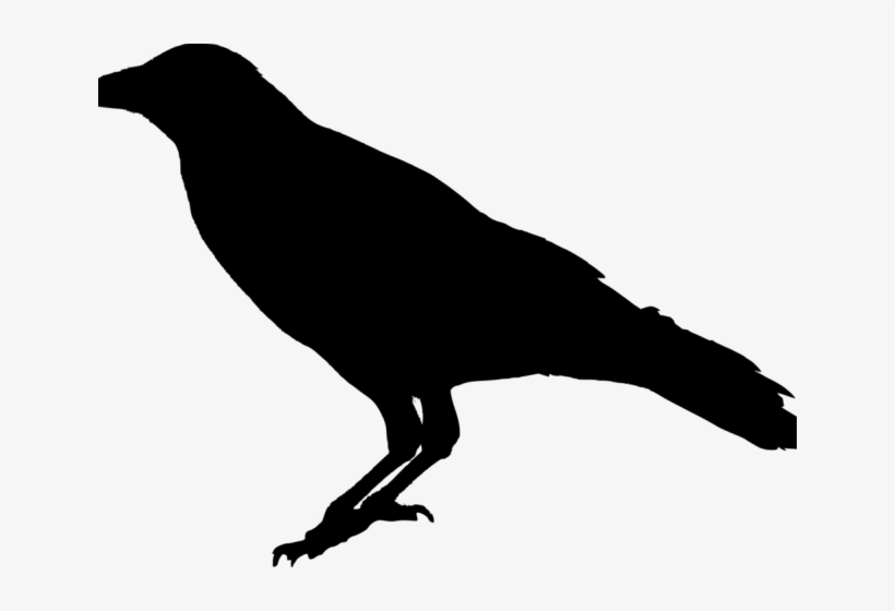 Detail Crow Transparent Png Nomer 9