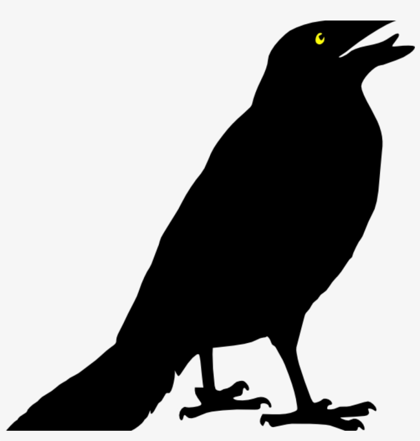 Detail Crow Transparent Png Nomer 14