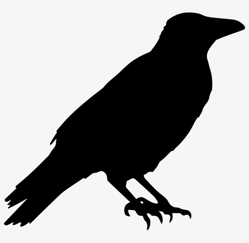 Detail Crow Transparent Png Nomer 15
