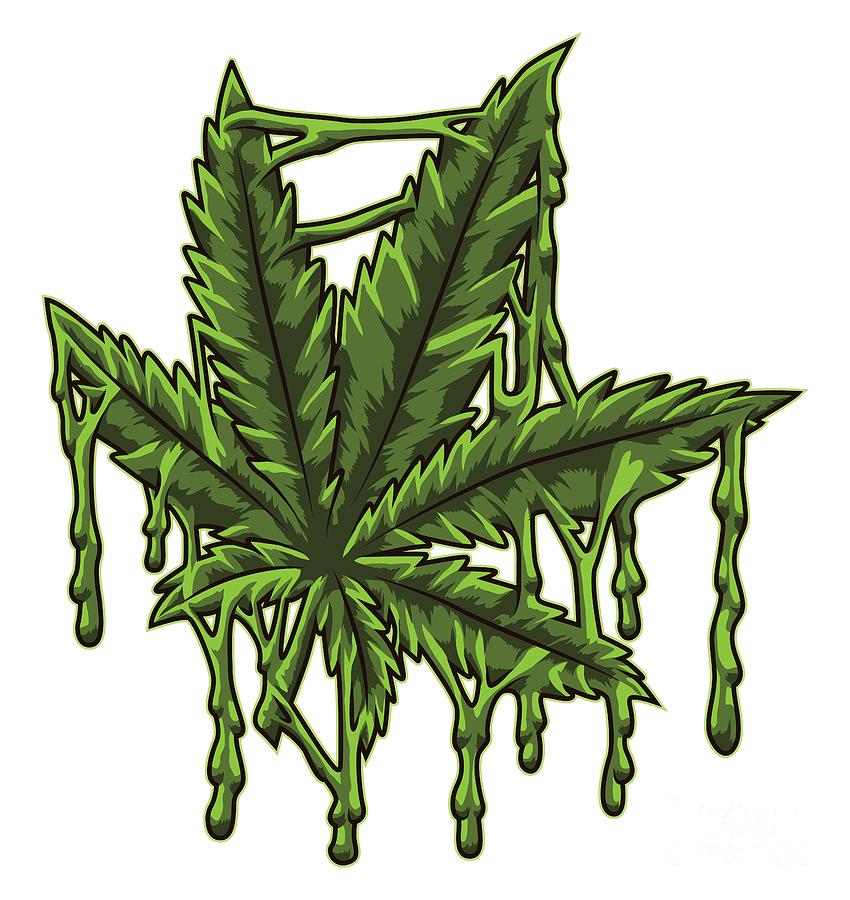 Detail Hemp Leaf Illustration Nomer 18