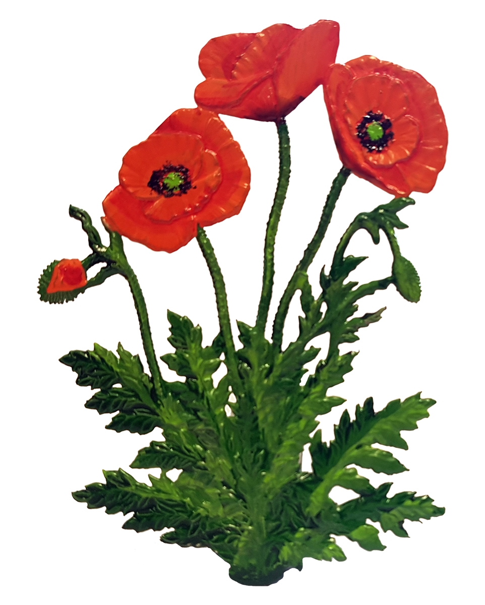 Klatschmohn Zeichnung - KibrisPDR