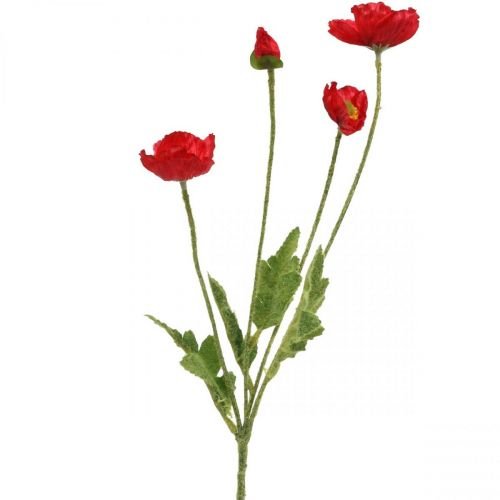 Detail Klatschmohn Zeichnung Nomer 11