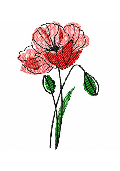 Detail Klatschmohn Zeichnung Nomer 14