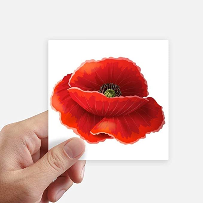 Detail Klatschmohn Zeichnung Nomer 18
