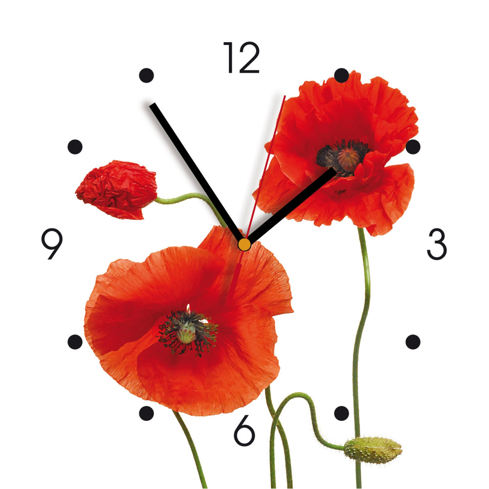 Detail Klatschmohn Zeichnung Nomer 19