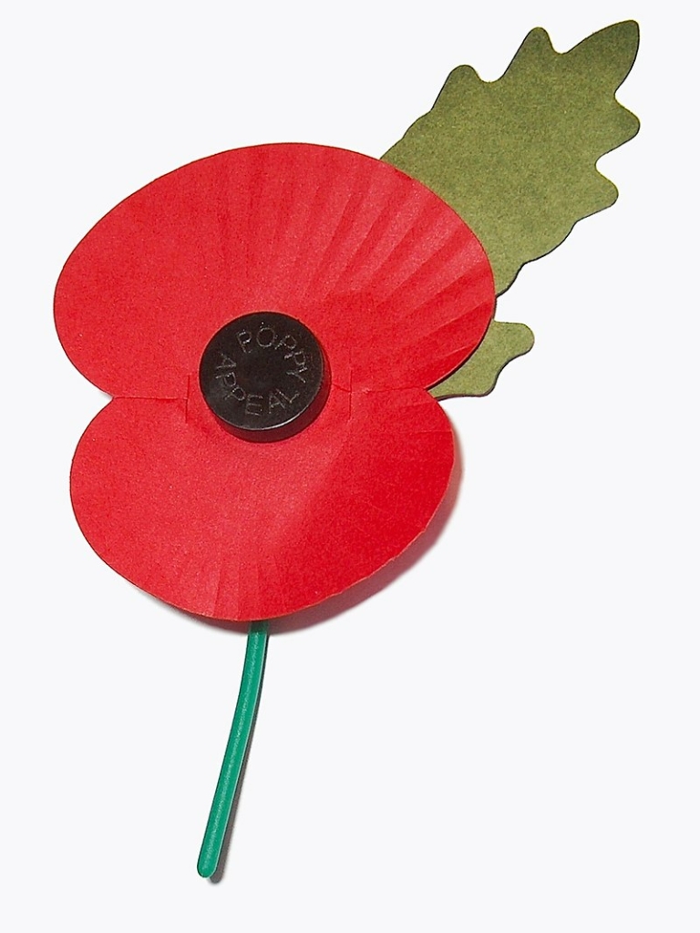 Detail Klatschmohn Zeichnung Nomer 21