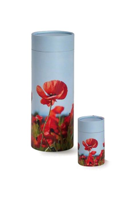 Detail Klatschmohn Zeichnung Nomer 23