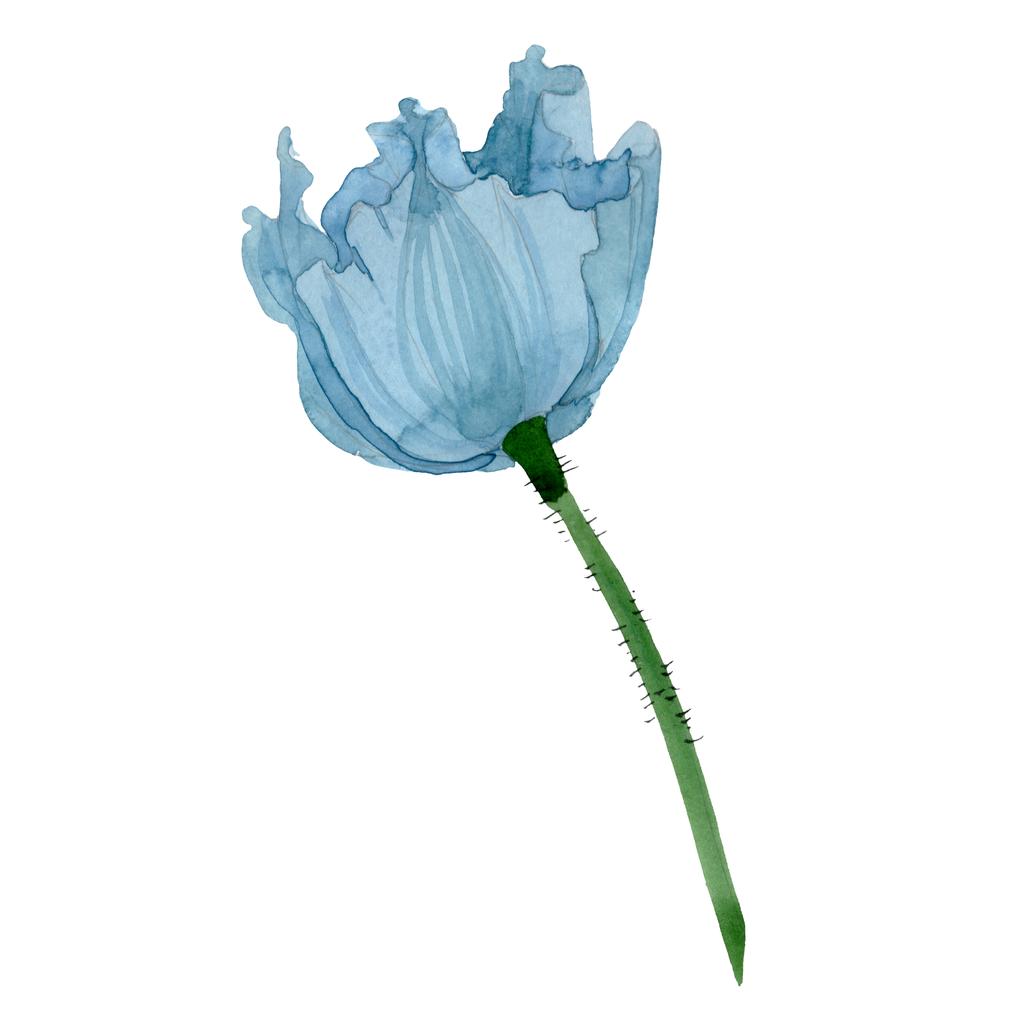 Detail Klatschmohn Zeichnung Nomer 6