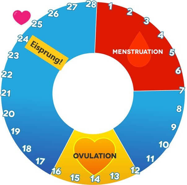 Detail Positiver Schwangerschaftstest Mann Nomer 18