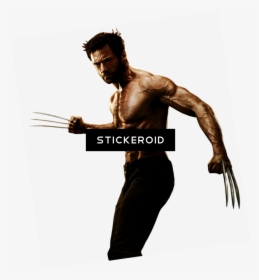 Detail Wolverine Beard Nomer 6