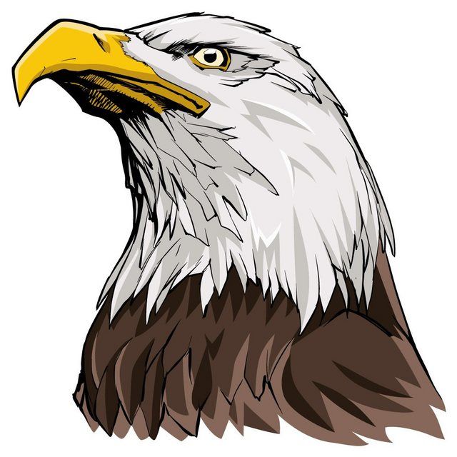 Detail Adler Comic Nomer 10
