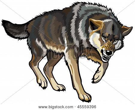 Detail Aggressiver Wolf Nomer 3